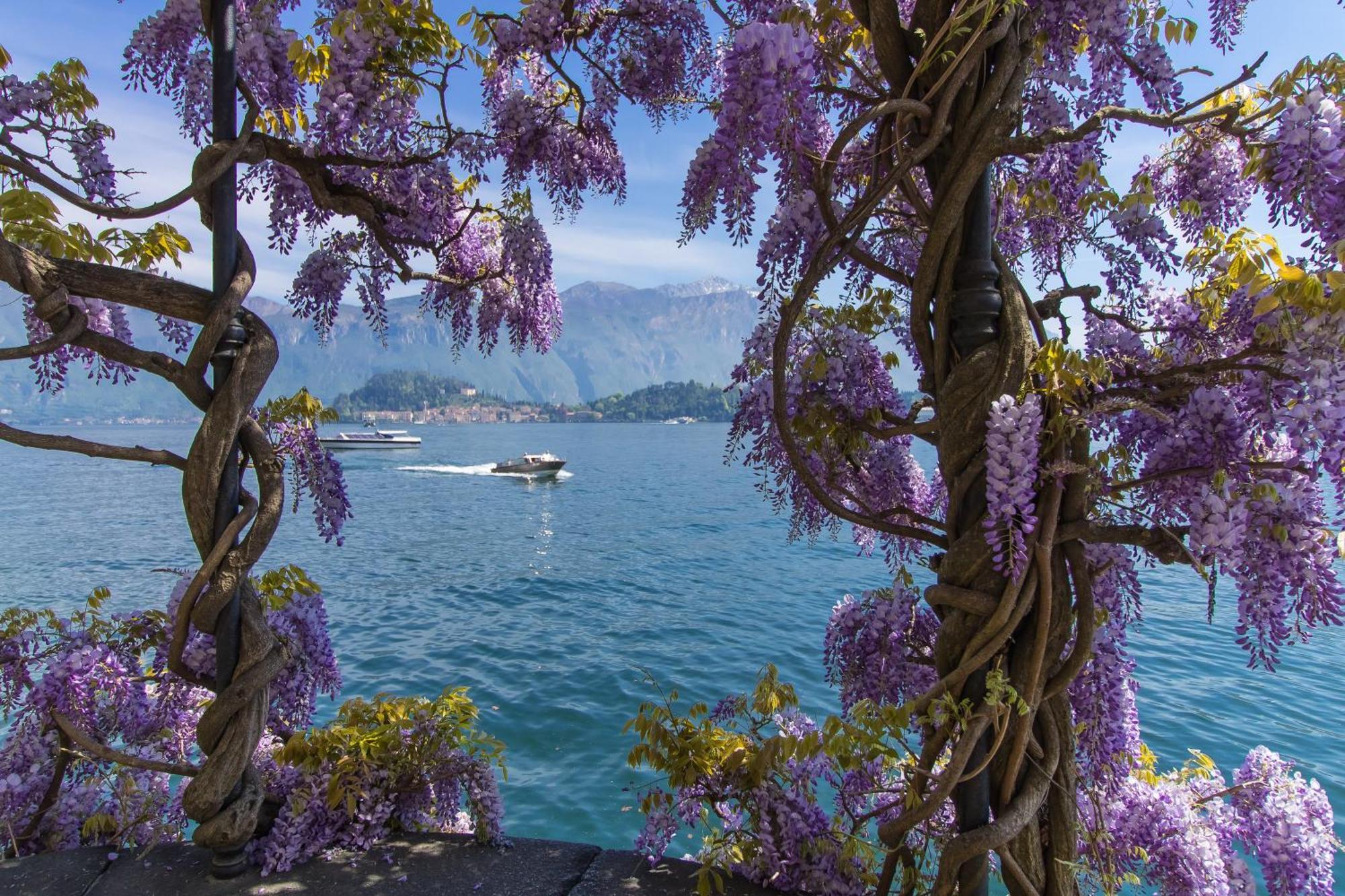 Belvedere Mansarda Tremezzo Kültér fotó